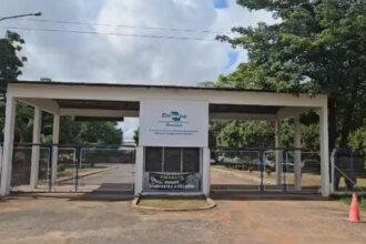Processo Seletivo Embrapa Roraima PIBIC/PIBITI 2026: bolsa de R$ 700,00 para 9 vagas 4 processo seletivo Embrapa Roraima PIBIC PIBITI 2026